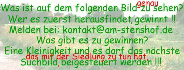 Zum Suchbild - hier klicken