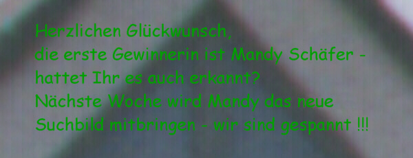Zur�ck zur Startseite - hier klicken