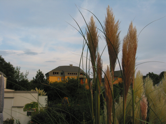 Wanderausstellung rund um den Stenshof - Hier klicken