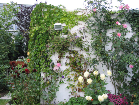 Wanderausstellung rund um den Stenshof - Hier klicken