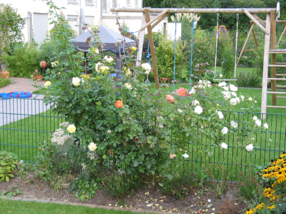 Wanderausstellung rund um den Stenshof - Hier klicken