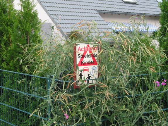 Wanderausstellung rund um den Stenshof - hier klicken